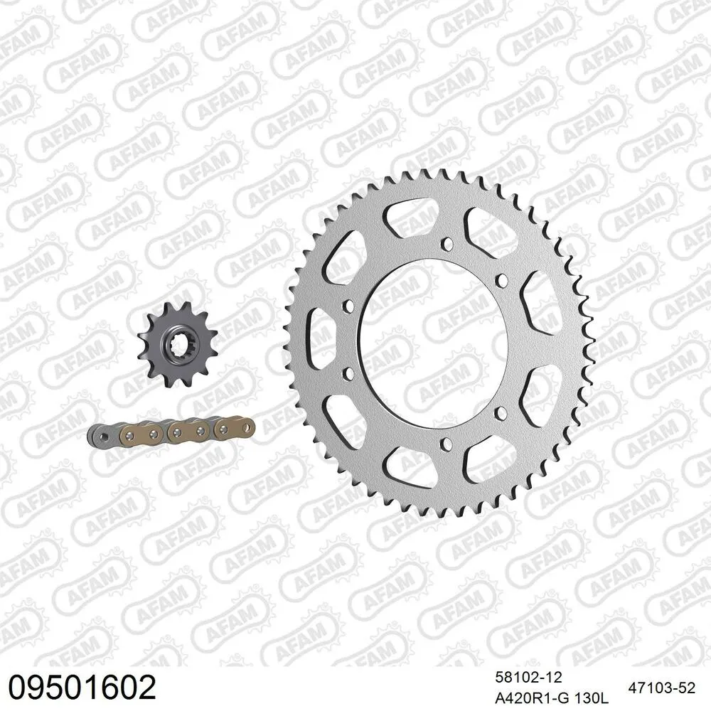 09501602 AFAM Kettensatz Stahl 420 R1-G 12x52 - Gasgas EC 50 Rookie 2001-05 - 09501602