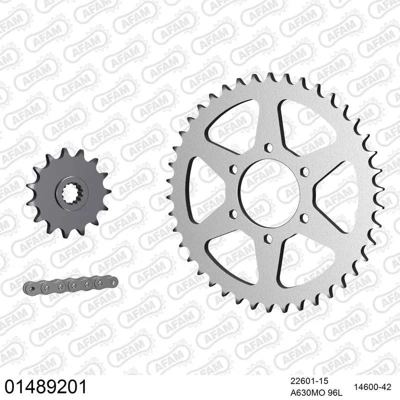 01489201 AFAM Kettensatz Stahl 630 MO 15x42 - Suzuki GS 1000 E 1978-82 - 01489201