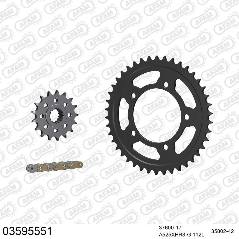 03595551 AFAM Kettensatz Stahl 525 XHR3-G 17x42 - Aprilia ETV 1200 Caponord 2013-19 - 03595551