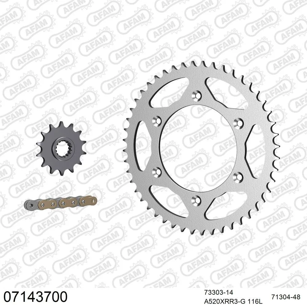 AFAM Kettensatz Stahl 520 XRR3-G 14x48 - KTM EGS 400 LC4 Enduro 1993 - 07143700