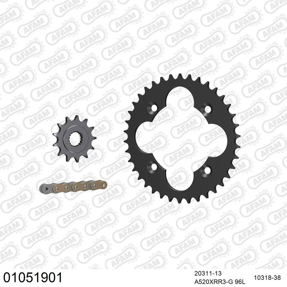 AFAM Kettensatz Stahl 520 XRR3-G 13x38 - Honda TRX 450 R 2006-14 - 01051901