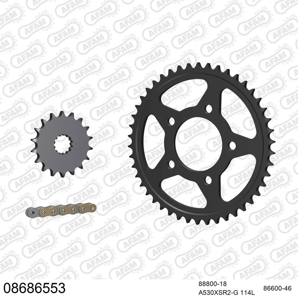 08686553 AFAM Kettensatz Stahl 530 XSR2-G 18x46 - Triumph Tiger 955 2000-04 - 08686553