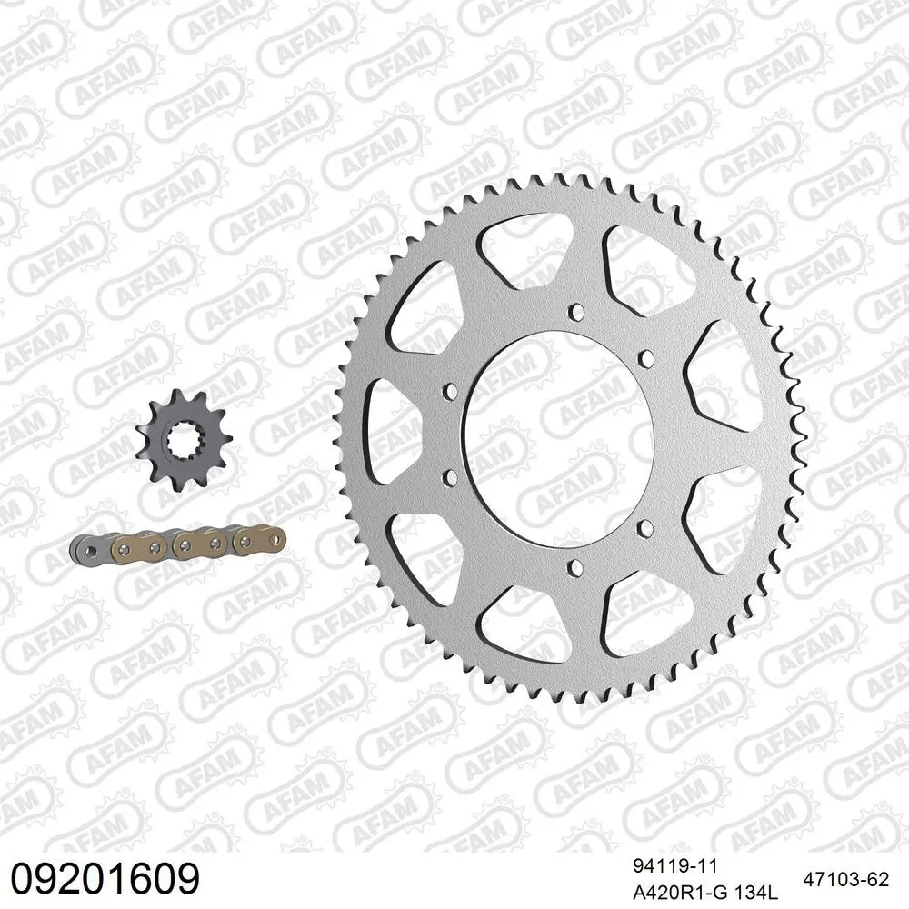 09201609 AFAM Kettensatz Stahl 420 R1-G 11x62 - Peugeot XPS 50 Track 2007-12 - 09201609