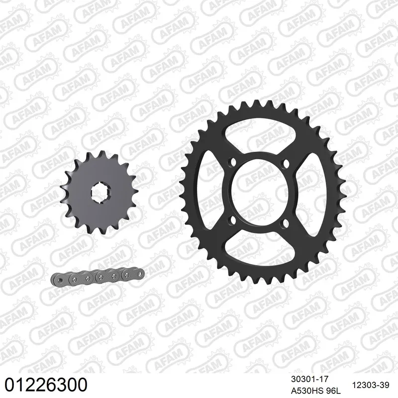 01226300 AFAM Kettensatz Stahl 530 HS 17x39 - Yamaha RD 250 DX 1976 - 01226300