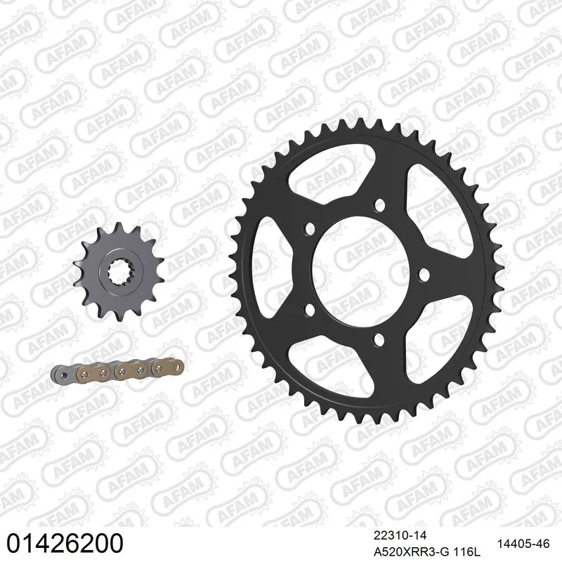 01426200 AFAM Kettensatz Stahl 520 XRR3-G 14x46 - Suzuki GW 250 F Inazuma 2013-15 - 01426200