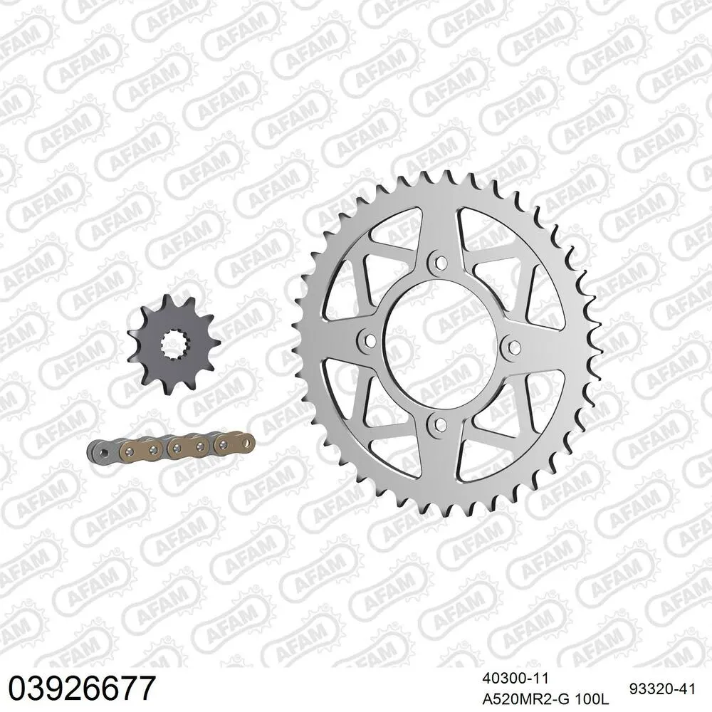 03926677 AFAM Kettensatz Aluminium 520 MR2-G 11x41 - Beta Rev 3 250 2003-04 - 03926677