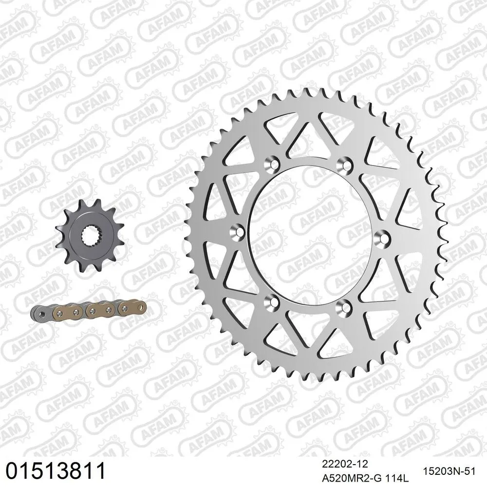 AFAM Kettensatz Aluminium 520 MR2-G 12x51 - Suzuki RM 125 1986 - 01513811