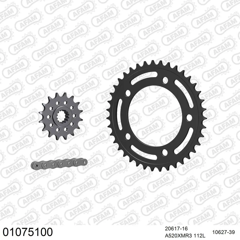 01075100 AFAM Kettensatz Stahl 520 XMR3 16x39 - Honda NC 700 D Integra ABS 2012-13 - 01075100