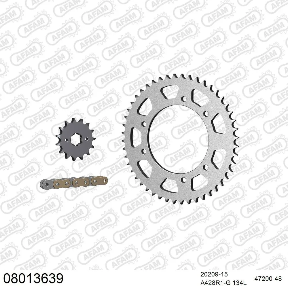 AFAM Kettensatz Stahl 428 R1-G 15x48 - Rieju 125 AC Marathon Supermotard 2012-20 - 08013639