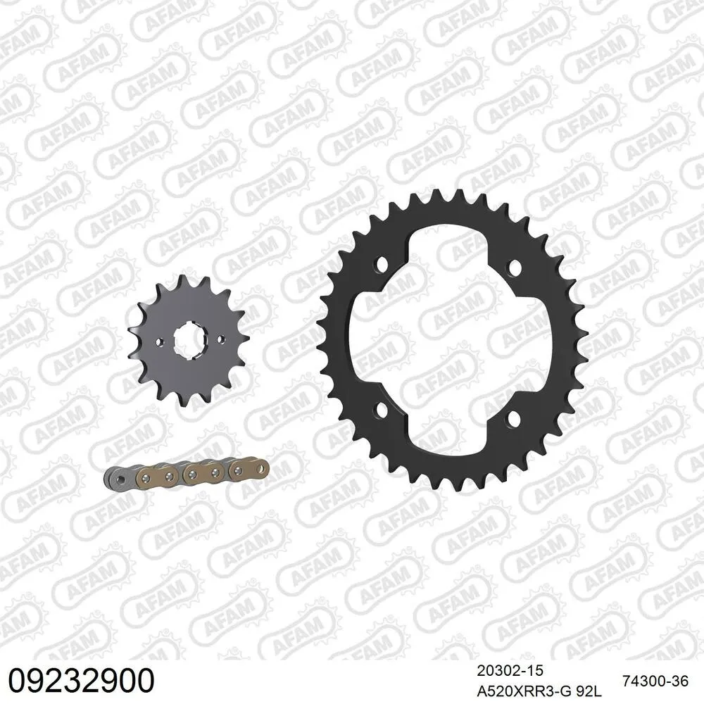 09232900 AFAM Kettensatz Stahl 520 XRR3-G 15x36 - TGB 325 Target 2009-12 - 09232900