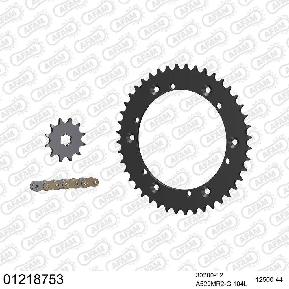 01218753 AFAM Kettensatz Stahl 520 MR2-G 12x44 - Yamaha IT 175 1982-83 - 01218753