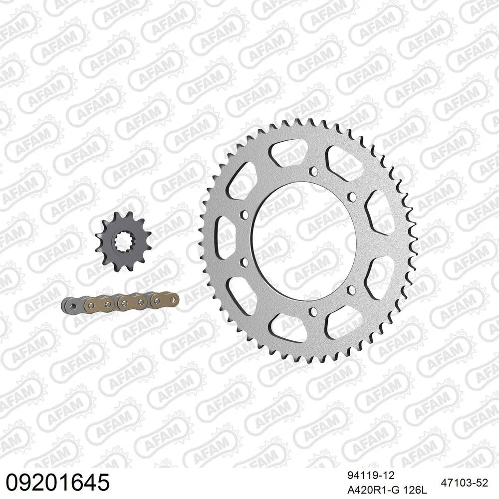AFAM Kettensatz Stahl 420 R1-G 12x52 - Peugeot XP6 50 SM 2002-03 - 09201645