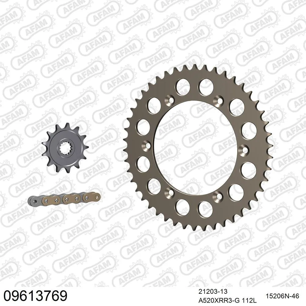 09613769 AFAM Kettensatz Aluminium 520 XRR3-G 13x46 - Gasgas EC 125 R 2015 - 09613769